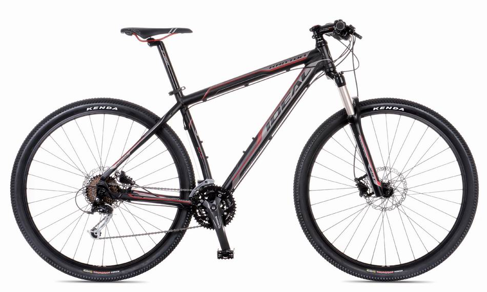 IDEAL KRITTON 29er (2013) (48a,m)